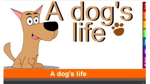 a dog's life