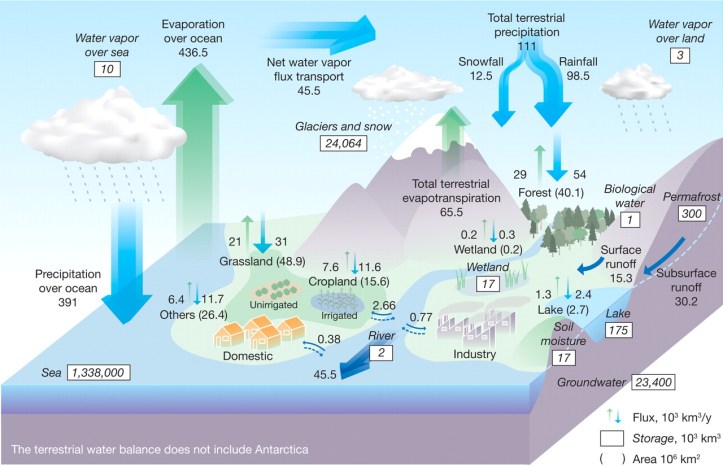 water cycle